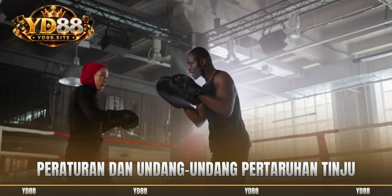 Peraturan dan undang-undang pertaruhan tinju