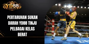 Pertaruhan sukan darah