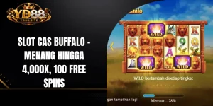 Slot Cas Buffalo