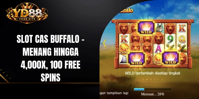 Slot Cas Buffalo