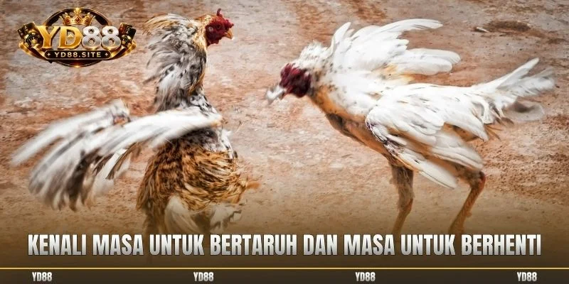 Kenali masa untuk bertaruh dan masa untuk berhenti